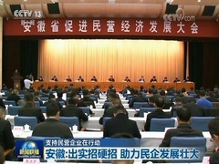 【支持民營企業在行動】安徽：出實招硬招 助力民企發展壯大