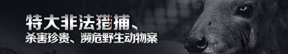 【直播天下】現在開庭：特大非法獵捕、殺害珍貴、瀕危野生動物案_fororder_banner