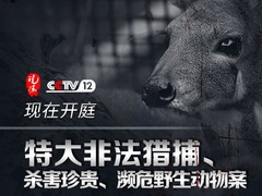 【直播天下】現在開庭：特大非法獵捕、殺害珍貴、瀕危野生動物案_fororder_祁連山 方 無二維碼