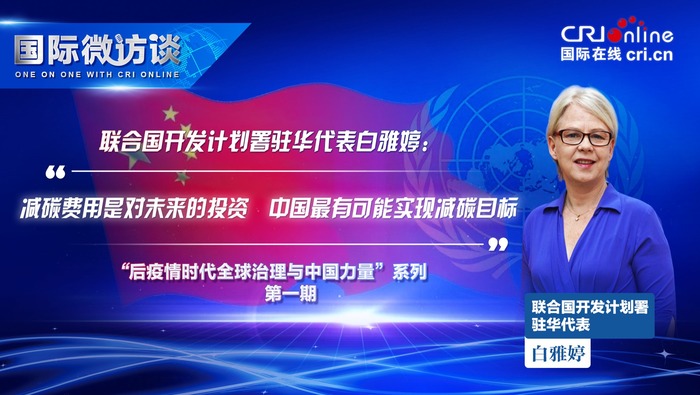 【國際微訪談】聯合國開發計劃署駐華代表：減碳費用是對未來的投資　中國最有可能實現減碳目標