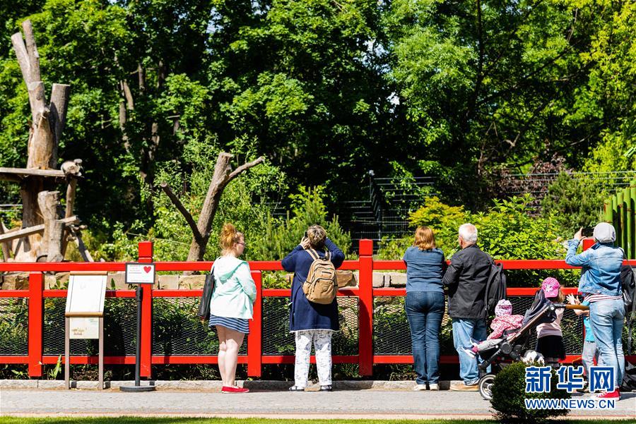 德國：動物園重新開 大熊貓迎客來