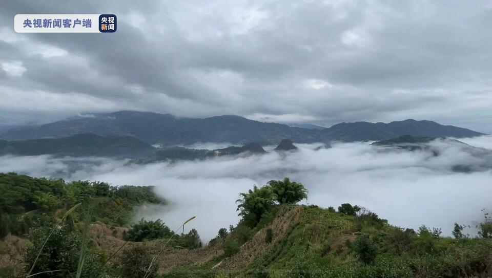 雲南哀牢山4名地質調查人員因公殉職原因查明