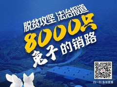 【直播天下】脫貧攻堅 法治報道：：8000隻兔子的銷路_fororder_微信圖片_20200702145752