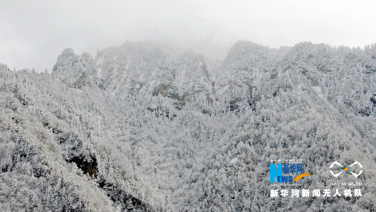 【“飛閱”中國】雪浴官鵝溝