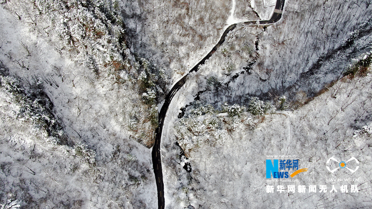 【“飛閱”中國】雪浴官鵝溝