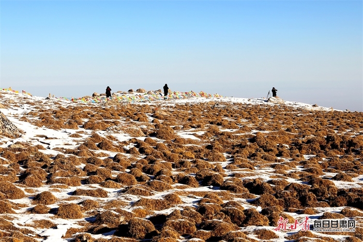 【大美甘肅+焦點圖輪播圖+文旅圖片列表】肅南巴爾斯雪山秘境與瑞士阿爾卑斯風景相媲美