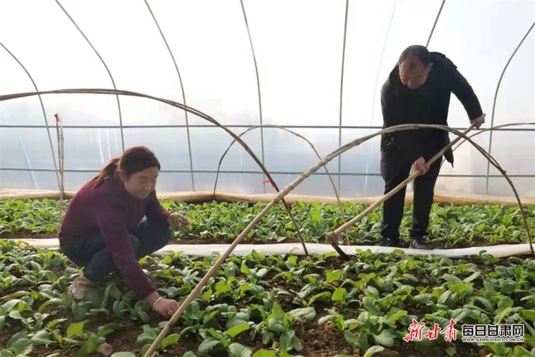 【鄉村振興圖文列表+隴南標題列表】成縣大地春意濃 山鄉群眾耕作忙