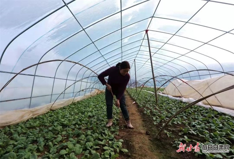 【鄉村振興圖文列表+隴南標題列表】成縣大地春意濃 山鄉群眾耕作忙