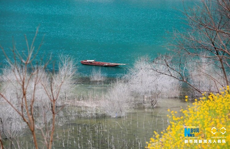 飛“閱”中國︱甘肅隴南：油菜花開碧水間_fororder_12