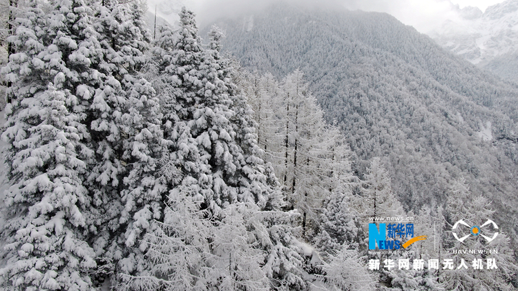 【“飛閱”中國】雪浴官鵝溝