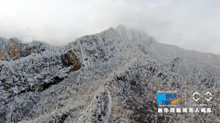 【“飛閱”中國】雪浴官鵝溝