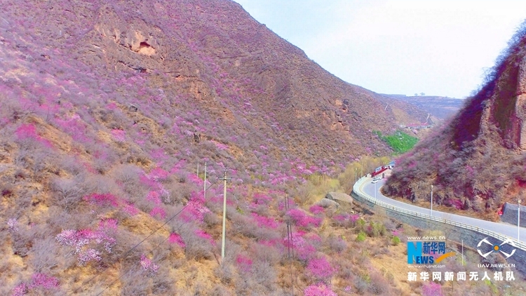 （視界圖文列表）【“飛閱”中國】崆峒山下桃花“醉”春風