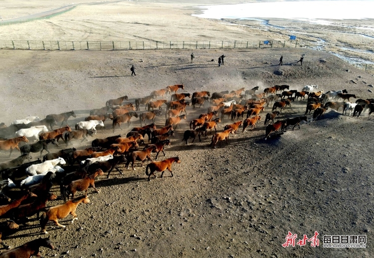 【大美甘肅+移動端輪播圖+張掖標題列表】駿馬揚蹄起飛塵 祁連迎風聽牧歌 山丹馬場春日即景