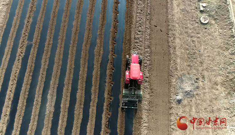 甘肅：春耕正當時 田間有生機