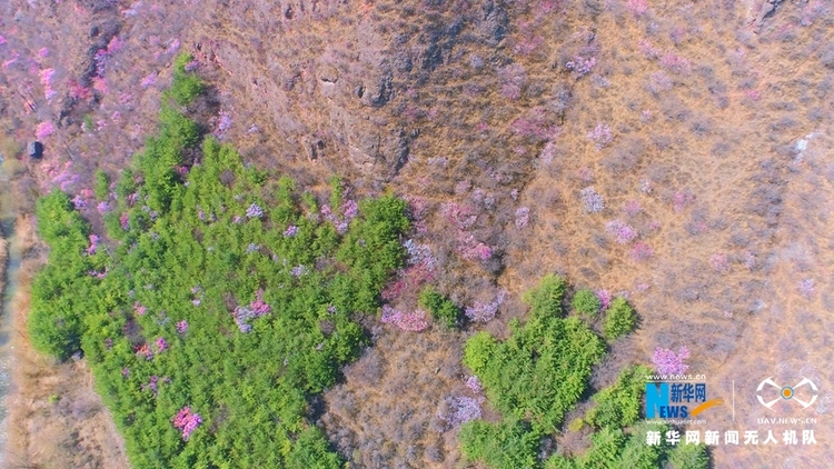 （視界圖文列表）【“飛閱”中國】崆峒山下桃花“醉”春風