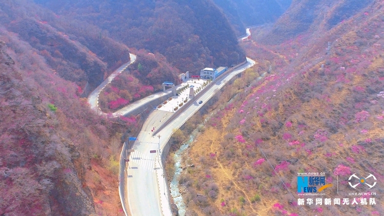 （視界圖文列表）【“飛閱”中國】崆峒山下桃花“醉”春風