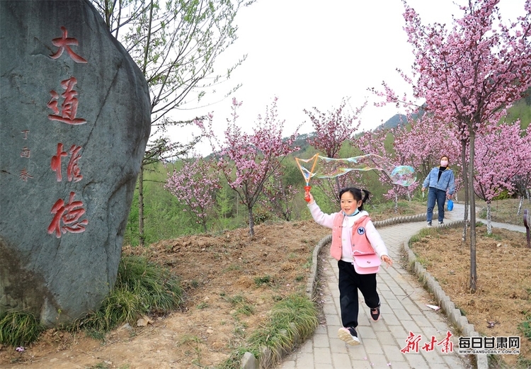 【移動端+縣域圖片列表】康縣：十里梅花朵朵開 千樹萬枝浮暗香