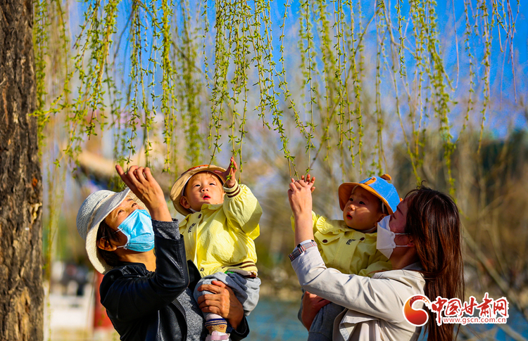 （焦點圖——酒泉列表）【隴拍客】甘肅酒泉：踏青賞花 享受美好春光