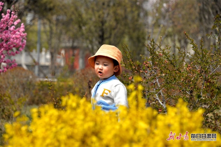 隴西李家龍宮：花香撲鼻迎風來 春色滿園惹人醉