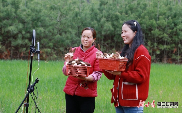 【縣域圖文列表+隴南列表】徽縣麻沿河鎮：羊肚菌豐收 線上銷售忙