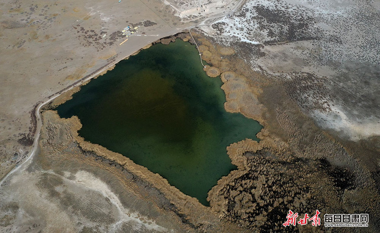 【鄉村振興圖文列表】肅南明花鄉迎來花季