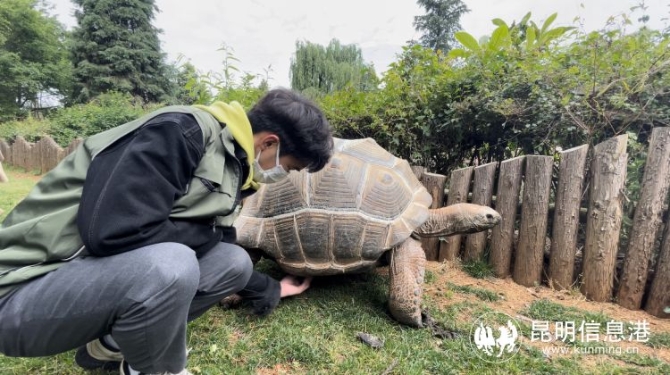 雲南野生動物園帶廣大遊客領略動物“上班”日常