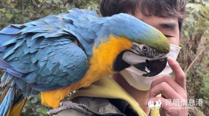 雲南野生動物園帶廣大遊客領略動物“上班”日常