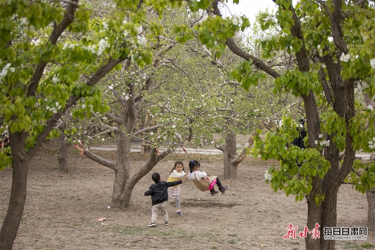 酒泉：戈壁小鎮生態美 桃花盛開醉遊人