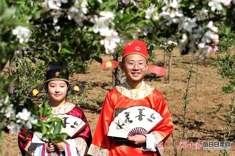 禮縣：蘋果花香送清甜 直播帶貨助增收