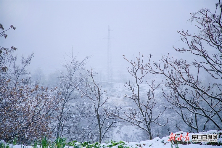 料峭四月喜降春雪 仇池故里美色傾城