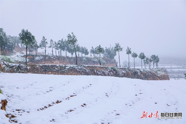 料峭四月喜降春雪 仇池故里美色傾城