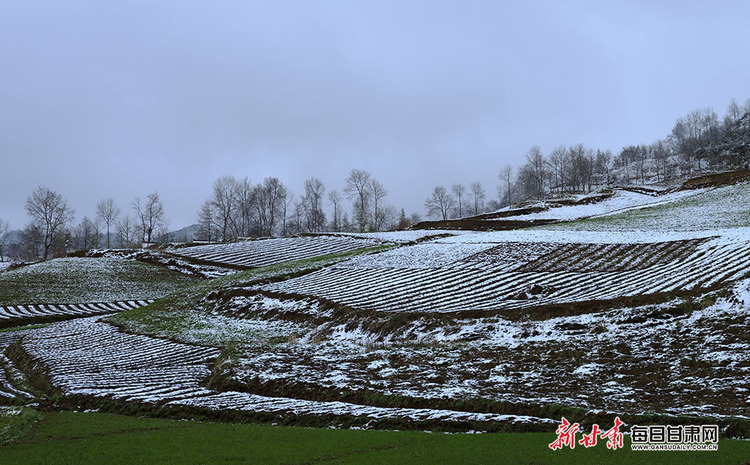 【焦點圖+大美甘肅+隴南列表】長天遠樹山山白 不辨山花與雪花 春雪落武都山村美如畫