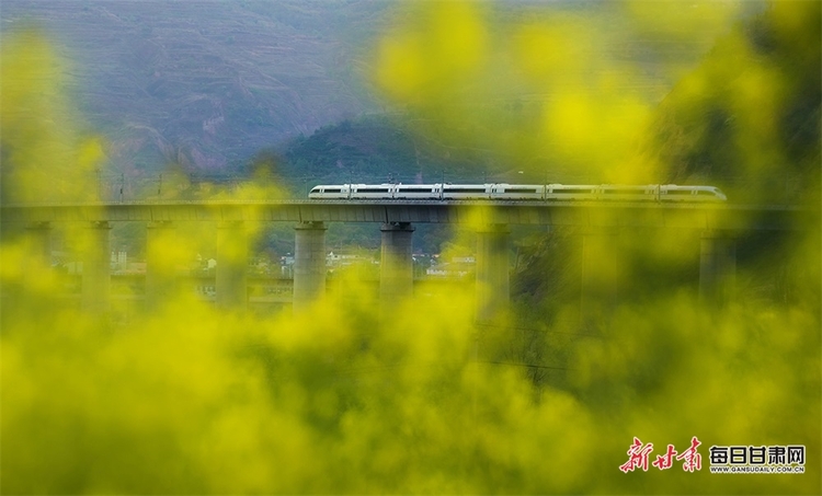 【焦點圖】高鐵穿過麥積區石佛鎮馬家山村成為一道獨特風景