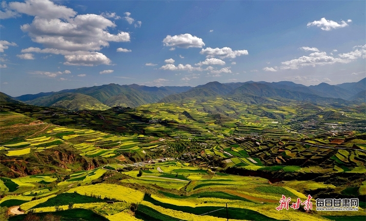 【焦點圖+大美甘肅+縣域圖文列表+天水列表】武山：油菜花開滿山黃 香飄四溢盡菲芳