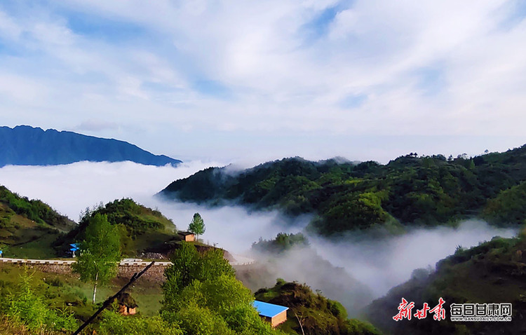 【文旅焦點圖】夏日 武都千壩草原美得有些過分！_fororder_夏日3