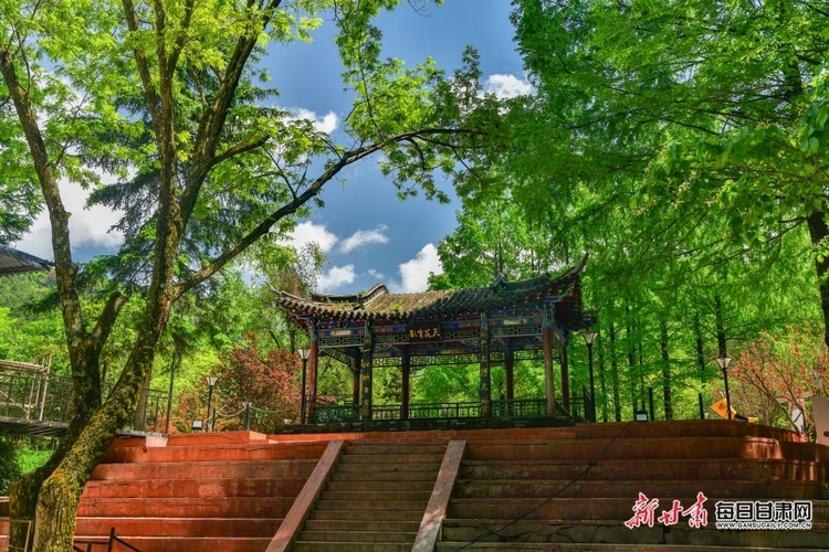 【文旅焦點圖】夏日麥積山：群峰聳峙染翠色 飛瀑流泉畫中畫_fororder_麥積山5