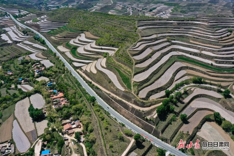 【縣域】會寧縣：植樹增綠山川美 生態美景入畫來_fororder_會寧3