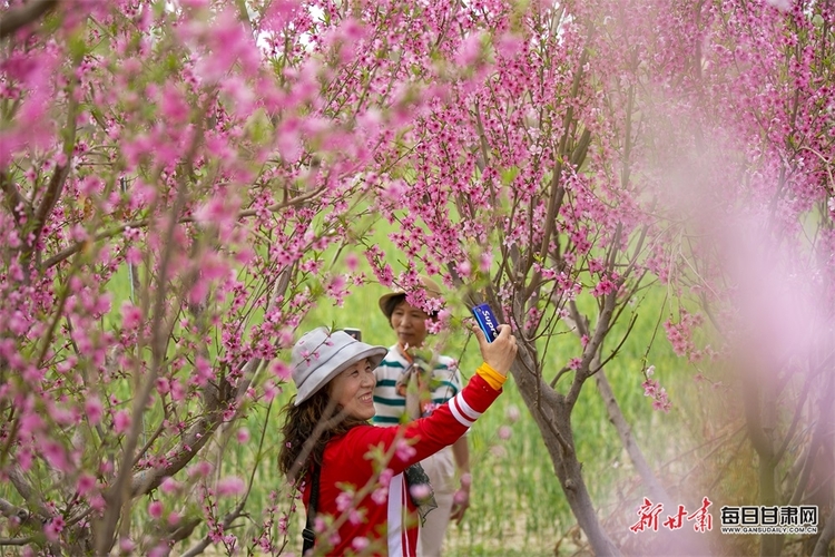 酒泉：戈壁小鎮生態美 桃花盛開醉遊人