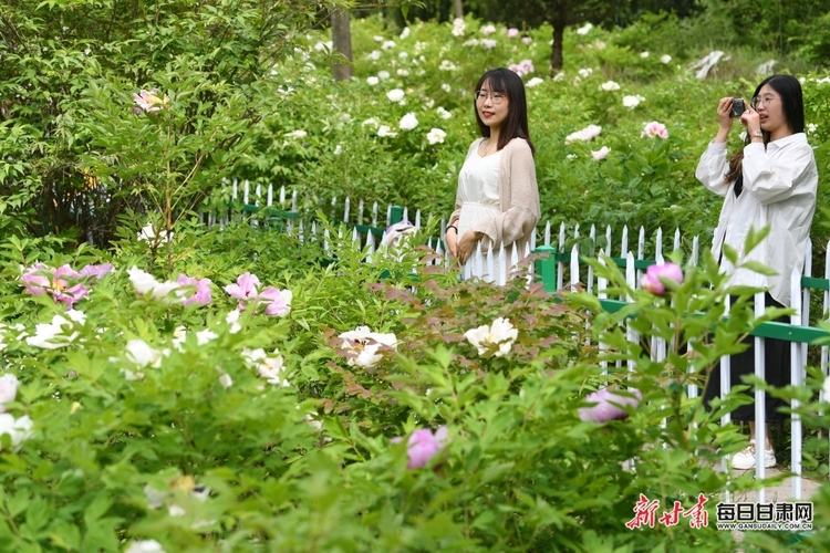 秦州區珍稀植物園牡丹花開正艷_fororder_牡丹2