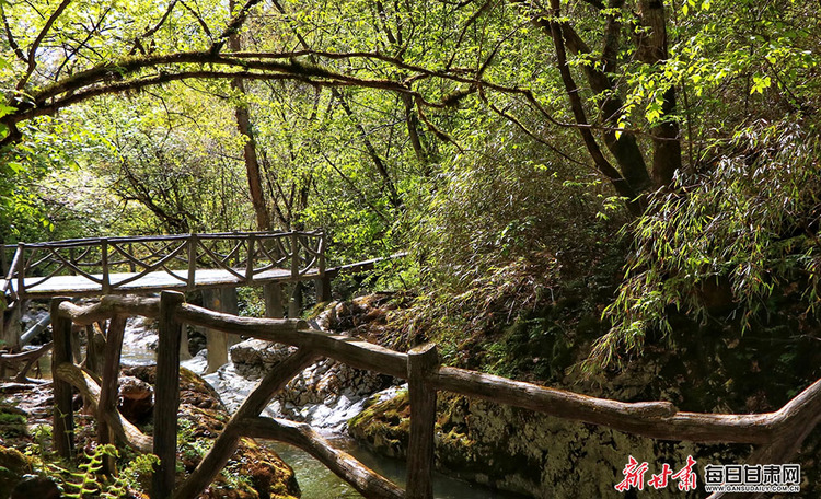 【文旅】清溪淺吟低唱 峰林聳翠藏幽 兩當雲屏三峽有你不曾見過的美景_fororder_綠色4