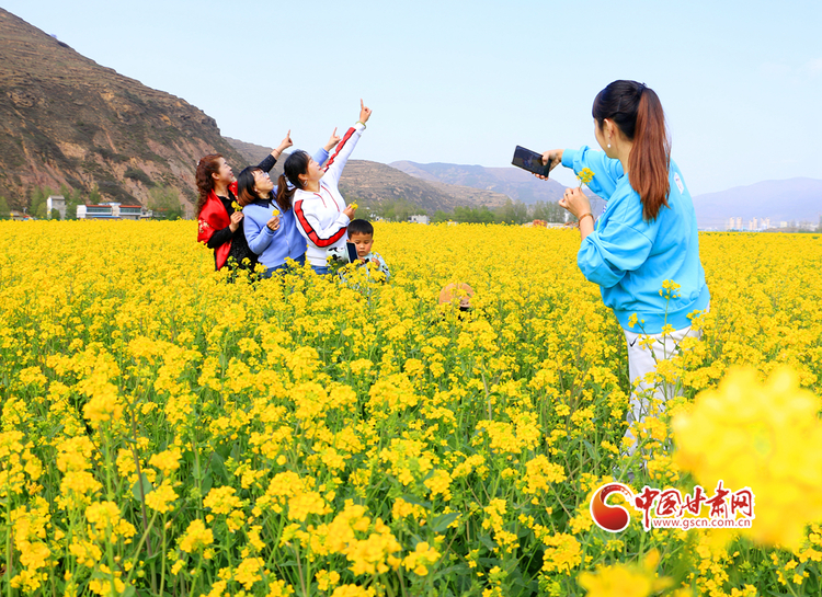 【文旅焦點圖】【隴拍客】變裝“黃色海洋” 岷縣十里鎮千畝油菜花競相綻放_fororder_油菜花6