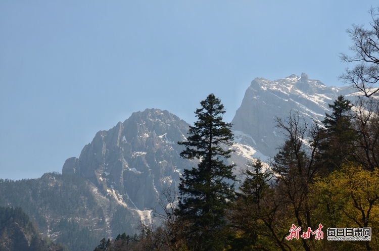 飛瀑流泉松濤陣陣 山峰疊翠奇石林立 宕昌黃家路林區風光旖旎_fororder_5