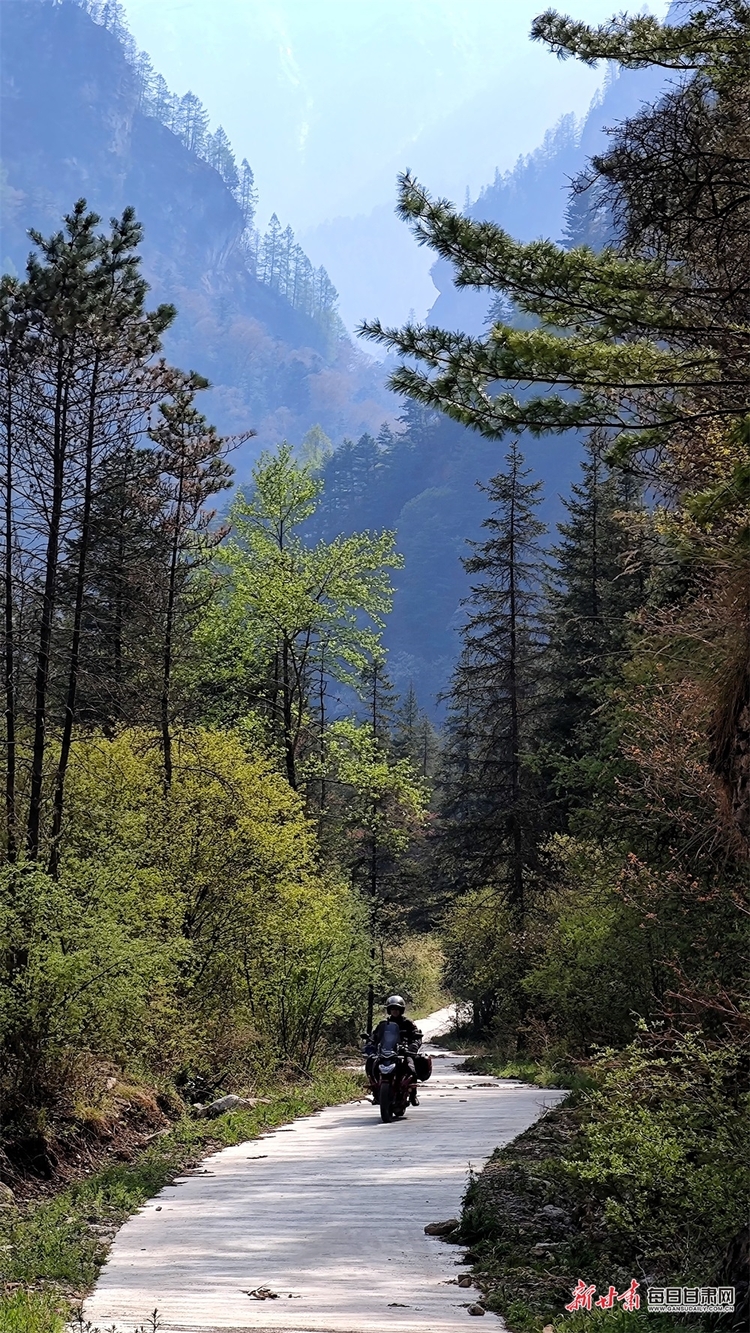 飛瀑流泉松濤陣陣 山峰疊翠奇石林立 宕昌黃家路林區風光旖旎_fororder_11