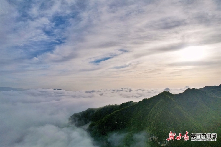 【文旅焦點圖】夏日 武都千壩草原美得有些過分！_fororder_夏日1