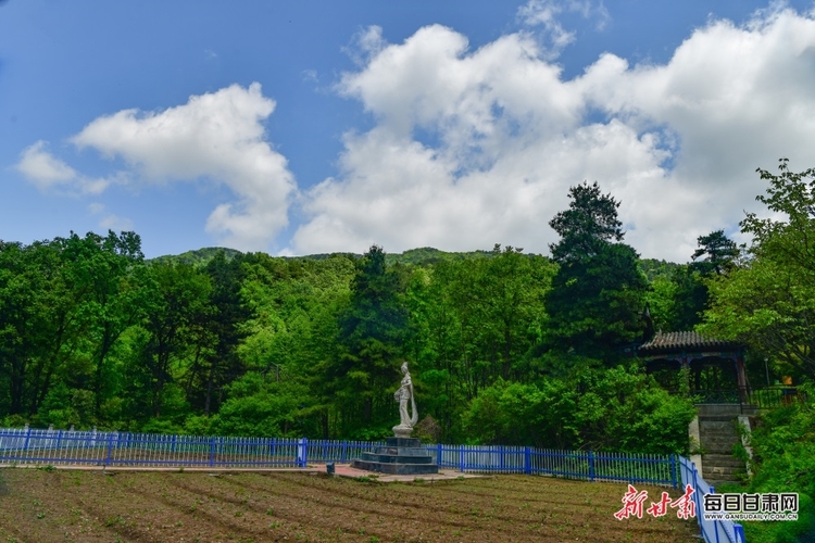 【文旅焦點圖】夏日麥積山：群峰聳峙染翠色 飛瀑流泉畫中畫_fororder_麥積山4