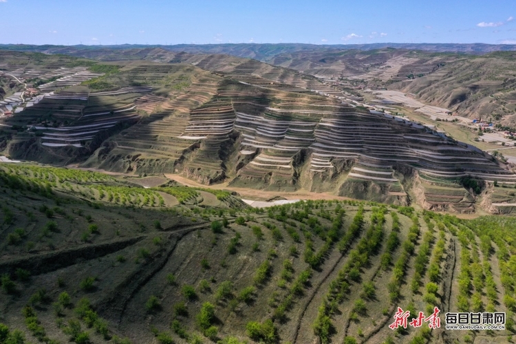 【縣域】會寧縣：植樹增綠山川美 生態美景入畫來_fororder_會寧1