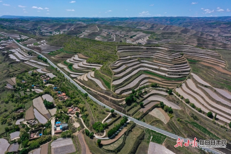 【縣域】會寧縣：植樹增綠山川美 生態美景入畫來_fororder_會寧4