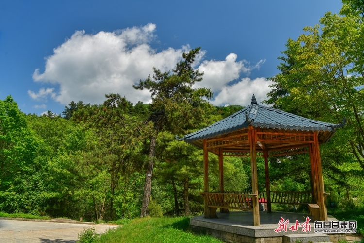 【文旅焦點圖】夏日麥積山：群峰聳峙染翠色 飛瀑流泉畫中畫_fororder_麥積山6