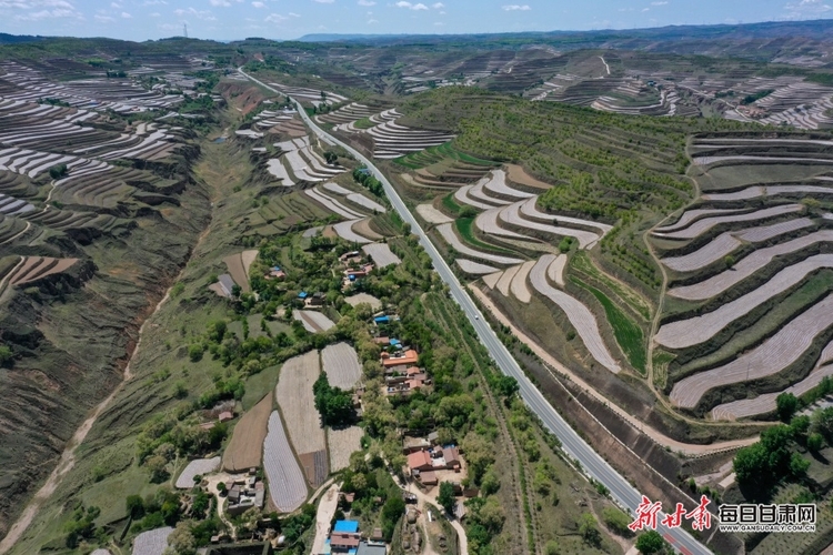 【縣域】會寧縣：植樹增綠山川美 生態美景入畫來_fororder_會寧2