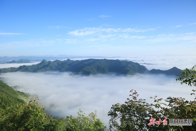 【焦點圖】群山逶迤雲海蒼茫 航拍隴南康縣毛埡雲海如仙境_fororder_3